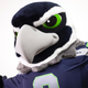 Blitz (Photo: Seattle Seahawks)